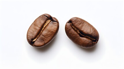 Close Up of Two Roasted Coffee Beans on White Background