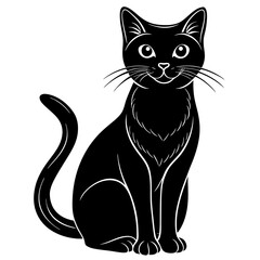  Halloween black cat vector illustration 