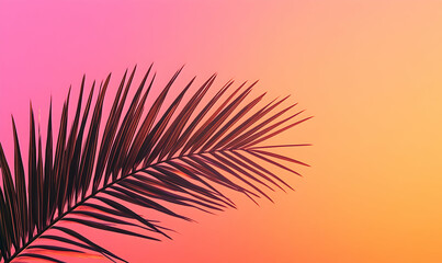 Palm leaf silhouette against a vibrant pink and orange gradient sky.