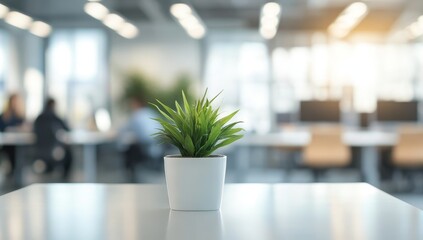 Poster - A potted plant on a white table in a blurred office background.