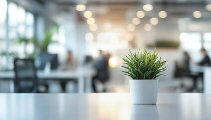 Wall Mural - A potted plant on a table in a bright office.