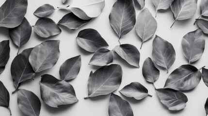 Poster - Black and White Leaves