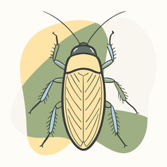 Wall Mural - vector illustration of cockroach