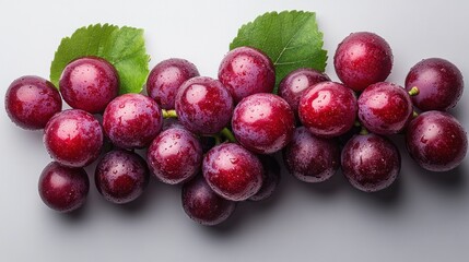 Wall Mural - Fresh Red Grapes with Dew Drops