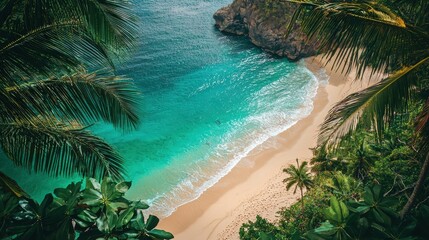 Wall Mural - A peaceful scene of turquoise waters meeting a sandy beach, with palm trees framing the view, copy space --ar 16:9 --quality 2 --v 6.1 Job ID: 140603f1-be80-44fc-95fa-0b558591b21b