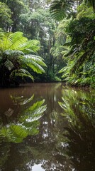 Reflection of Lush Green Trees in a Tranquil River.