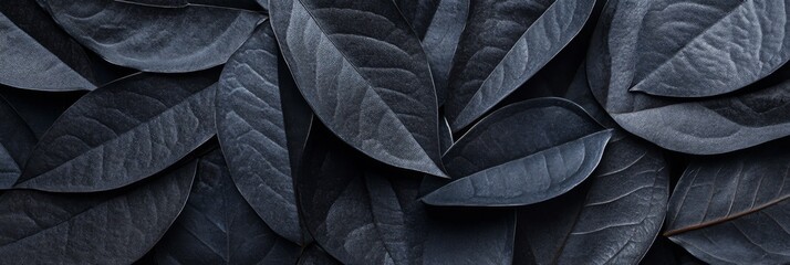 Poster - A topdown perspective showcases a pattern of black leaves on a dark background, emphasizing their diverse shapes and intricate textures in an artistic arrangement