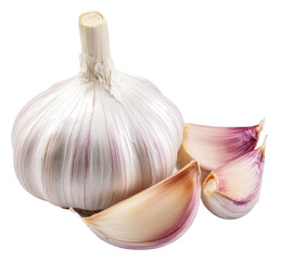 Fresh purple-cloved garlic bulb, cut out - stock png.