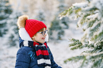 Wall Mural - Small girl playing with snow. Happy preschool child in winter forest on snowy cold december day.