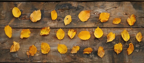 Poster - Two rows of fallen yellow autumn leaves on an old weathered rustic brown wooden table with copy space