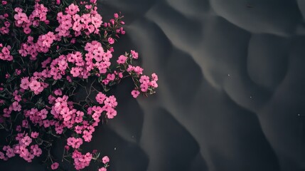 Wall Mural - Pink bush blooms on dark sand.