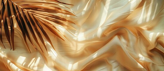 Poster - dry tropical palm leaf on soft fabric with prominent folds illuminated by sunlight. copy space image