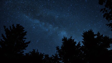 A vast, star-studded night sky over a dark silhouette of a forest.