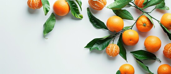 ripe tangerines with leaves set against a white background. Copy space image. Place for adding text and design