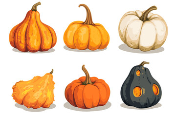 Wall Mural - set of simple autumn pumpkin. hand drawn pumpkin squash in warm natural fall colors isolated on whit