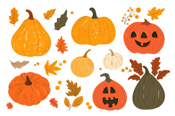 Wall Mural - set of simple autumn pumpkin. hand drawn pumpkin squash in warm natural fall colors isolated on whit