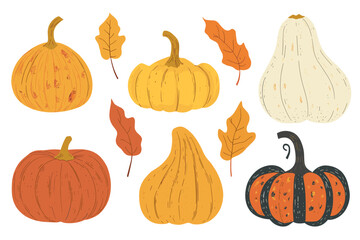 Wall Mural - set of simple autumn pumpkin. hand drawn pumpkin squash in warm natural fall colors isolated on whit