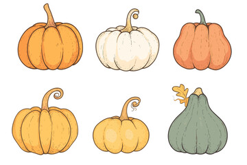 Wall Mural - set of simple autumn pumpkin. hand drawn pumpkin squash in warm natural fall colors isolated on whit
