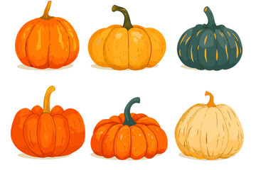 Wall Mural - set of simple autumn pumpkin. hand drawn pumpkin squash in warm natural fall colors isolated on whit