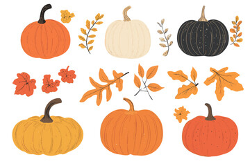 Wall Mural - set of simple autumn pumpkin. hand drawn pumpkin squash in warm natural fall colors isolated on whit