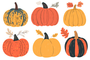 Wall Mural - set of simple autumn pumpkin. hand drawn pumpkin squash in warm natural fall colors isolated on whit