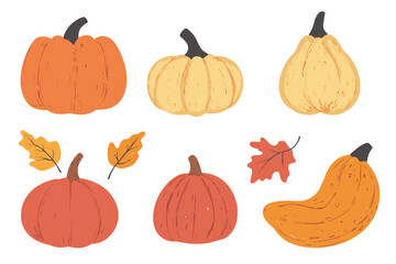 Wall Mural - set of simple autumn pumpkin. hand drawn pumpkin squash in warm natural fall colors isolated on whit