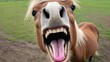 © Antonio - Funny photo of a horse laughing loudly at the camera