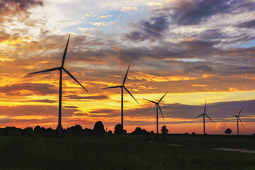 Wall Mural - field of wind turbines with the sun setting in the background