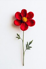 Wall Mural - A red flower on a white surface with a green stem