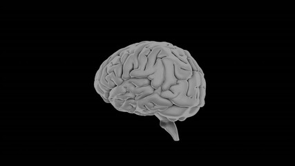 Poster - Animation of human brain model rotating on black background