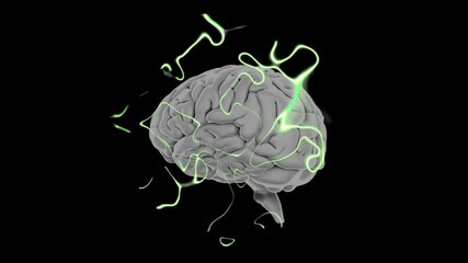 Poster - Brain with glowing green lines, neural activity animation on black background