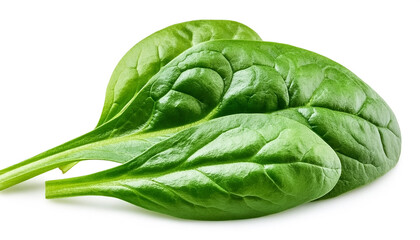 fresh green baby spinach leaves, isolated on white background