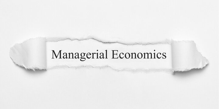 Managerial Economics