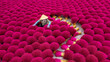 © Travel 'n' Lifestyle - View of colourful incense drying under the sun with traditional female workers in conical hats, Quang Phu Cau village, Vietnam.