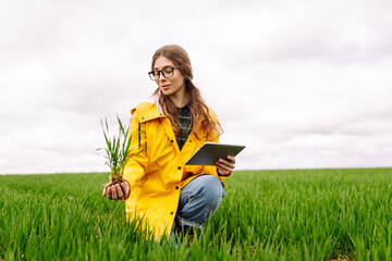 Wall Mural - A young farmer woman in a yellow raincoat inspects a healthy plant crop in a green field while holding a tablet in her hand. Smart farm. The concept of the agricultural business