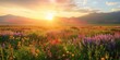 © KM - Golden sunrise casting light over a field of purple, red, and yellow flowers with mountains in the background.
