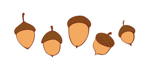 Wall Mural - Set of vectors acorns in doodle flat style. Hand drawn color illustrations, cliparts, design elements isolated. Theme of nature, forest, thanksgiving
