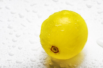 Wall Mural - Only one fresh green grape isolated on white background. Water drops background. Macro quality photo