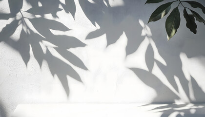 white cement texture wall with gray shadow of leaf plant summer abstract background minimal concept copy space mockup