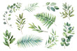 © Rawpixel.com - PNG tropical leaves element set, transparent background