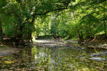 kentucky creek bank