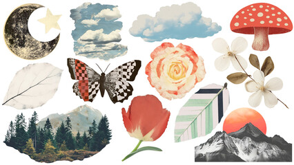 Wall Mural - png nature collage element set, transparent background