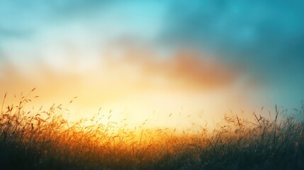 Sunset over Grass Field