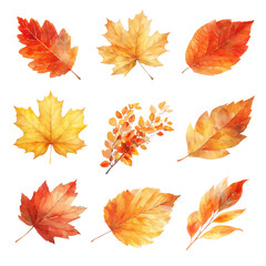 PNG Autumn leaf watercolor set, transparent background