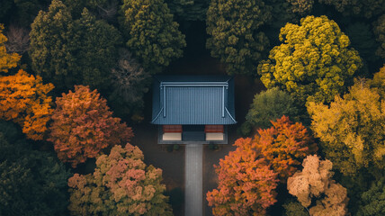 Sticker - 秋の森に佇む神社の空撮