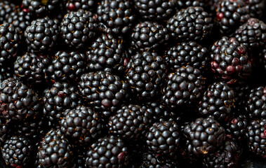 Wall Mural - Blackberry berries. Fresh ripe blackberries as background, top view. Juicy ripe black berries in a heap. Texture of blackberries close-up.