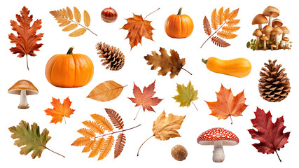 Poster - PNG Autumn leaf element set, transparent background