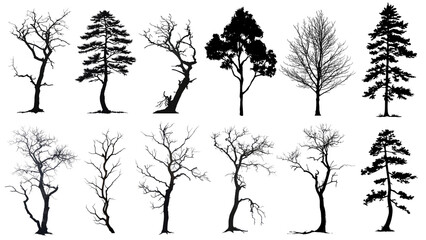 PNG tree silhouette set, transparent background