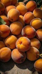 Wall Mural - Ripe apricots in sunlight, showcasing their vibrant orange hue, with space for text or design.