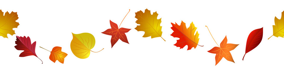 Wall Mural - Autumn red and yellow bright leaves border seamless. Vector illustration